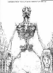 Necrofobia (ECU) : Desangrar Dioses